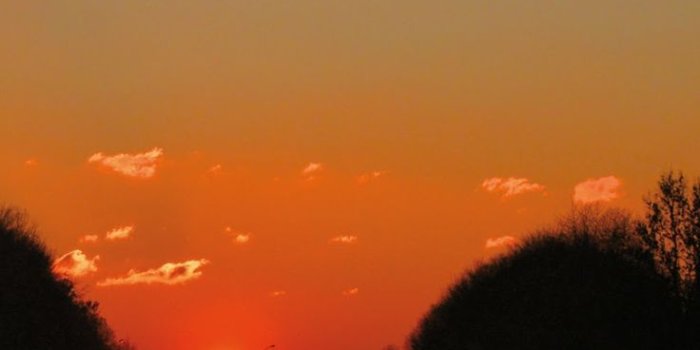 736x1308 Android Wallpapers – Golden hour #wallpaper #iphone #android