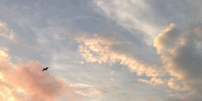 1280x1280 golden hour aesthetic | Tumblr