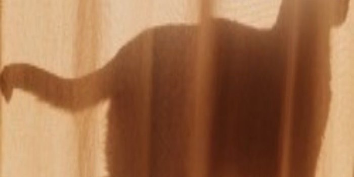 1080x1920 wallpapers :)