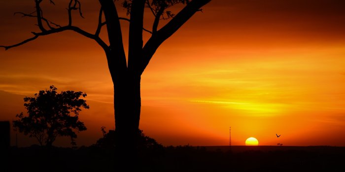 3948x2614 The Golden Hour Wallpapers