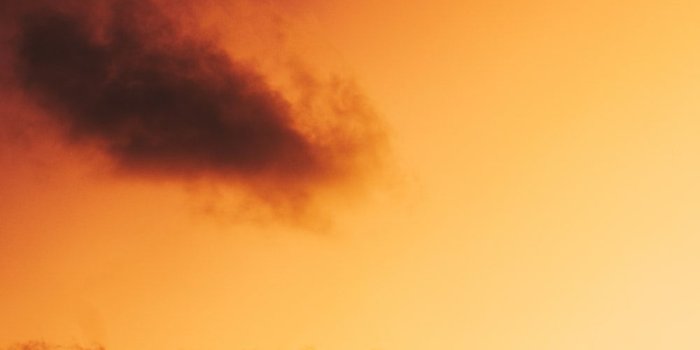 1000x1500 Yellow Aesthetic | 100+ best free aesthetic, yellow, plant and flora