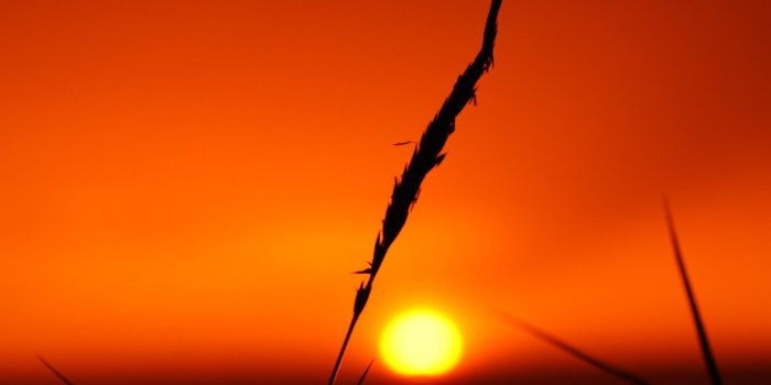 1920x1200 The Golden Hour Wallpapers