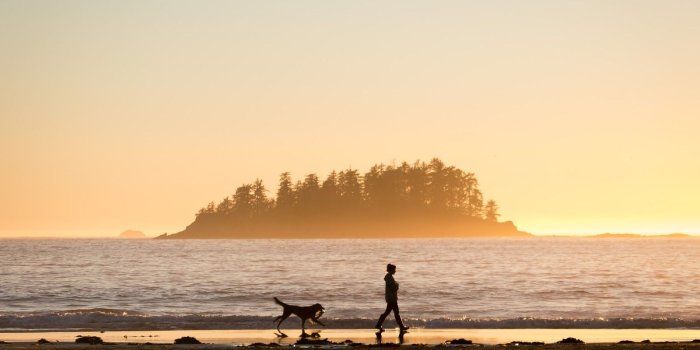 1600x1200 Practical tips to help you capture beautiful golden hour shots every