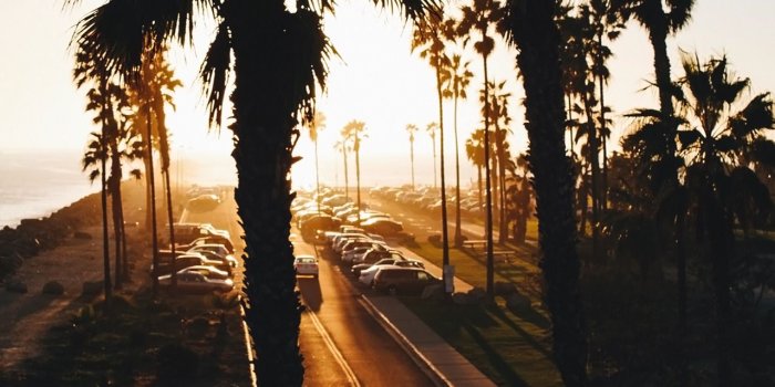 1280x1920 golden hour wallpaper | Tumblr