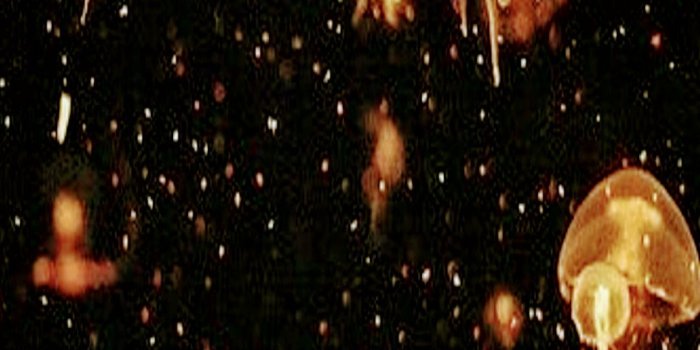 1080x1920 wallpapers :)