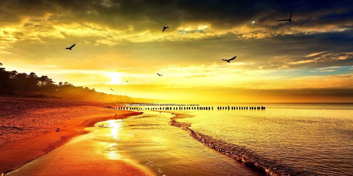 1920x1056 The Golden Hour Wallpapers