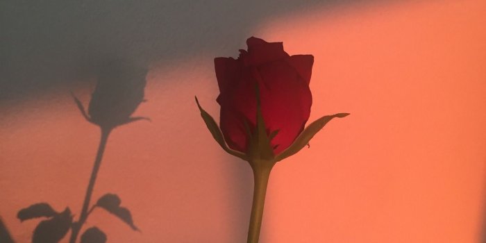 1280x1280 127 images about red. on We Heart It | See more about red, aesthetic