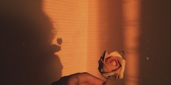 1125x1087 37 images about golden hour on We Heart It | See more about