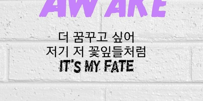 736x1175 Top 10 Punto Medio Noticias | Life Is Like A Butterfly Song Lyrics