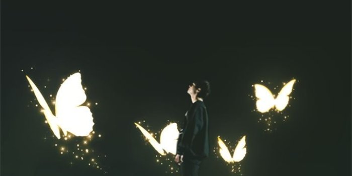 720x1278 BTS Butterfly Wallpapers