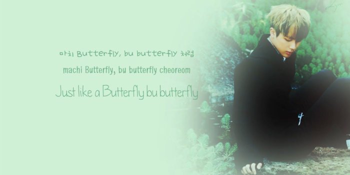 1280x720 Butterfly lyrics bts english