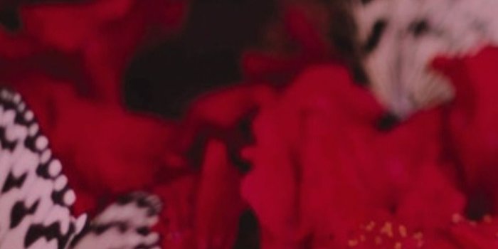 909x1920 BTS Aesthetic