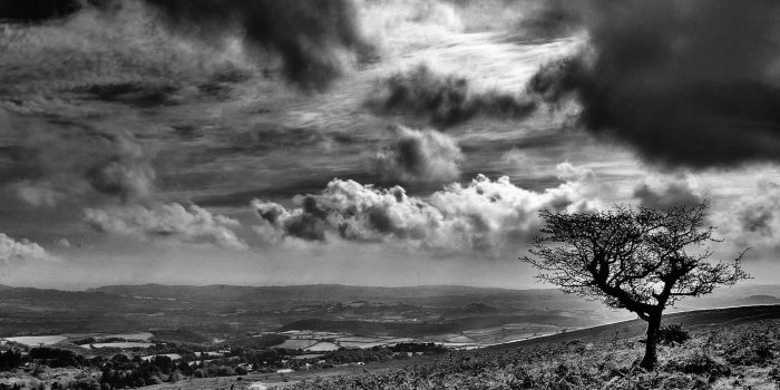 1920x1200 50+ Black and White Landscape Wallpapers - Download at WallpaperBro