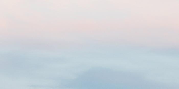 2161x3840 Wallpapers – Poketo