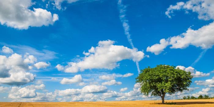 2880x1925 Field of wheat HD Wallpaper