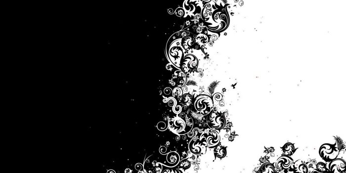 1680x1050 Download Black and white Desktop Wallpapers FREE on Latorocom