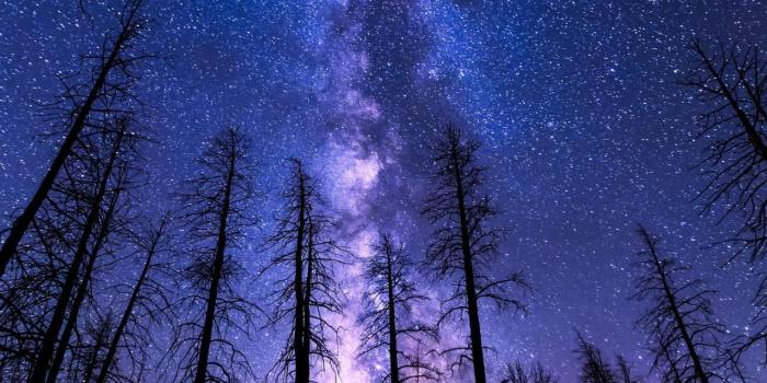 1280x1920 1280x1920 Px Wallpapers - home decor photos gallery