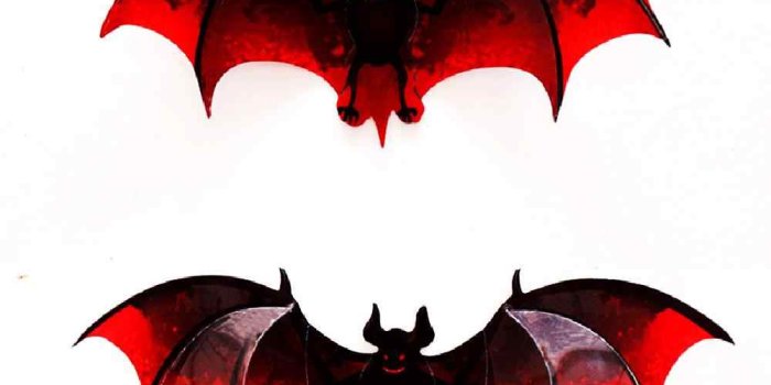 1000x1000 12pcs 3D Halloween Wallpaper Haunted House PVC Wall Art Poster Halloween  Bat Ornament Halloween Decoration Sticker Drop shipping