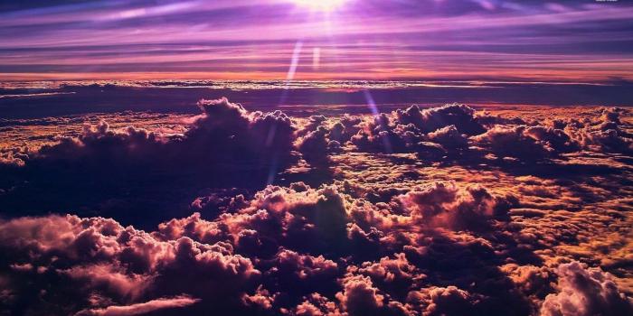 1920x1080 66+ Purple Nature Wallpapers on WallpaperPlay