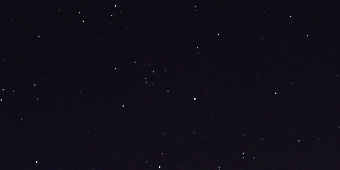 1242x2208 Night Sky Dark Star Lights Tree Nature #iPhone #6 #plus #wallpaper