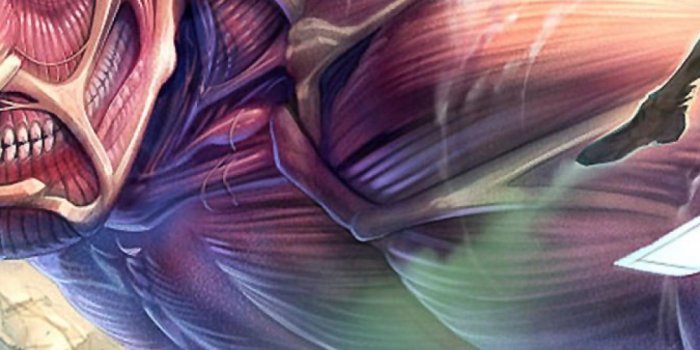 1080x1920 Attack On Titan Wallpaper Hd Iphone (#22273) - HD Wallpaper Download