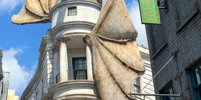 1600x2133 What You Need to Know Before You Visit the Wizarding World of Harry