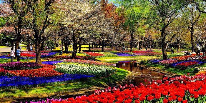 1920x1080 Flowers Park Parks Garden Gardens Colorful Flower Hd Theme Close Up