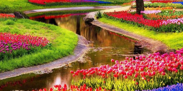 1605x1800 14 Reasons to visit the Netherlands in Spring! | Germany/ Austria