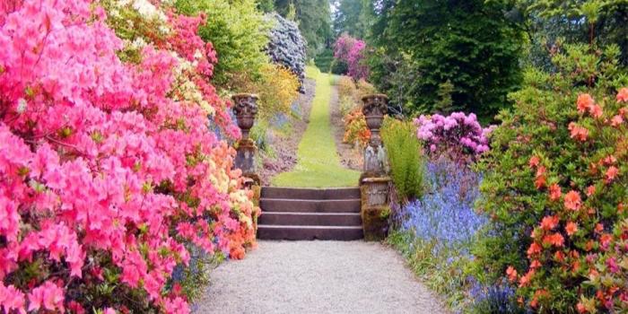 1000x1000 AOFOTO 8x8ft Beautiful Spring Blossom Flower Photography Backdrop Garden  Landscape Background Outdoor Vintage Park Manor Scenery Wedding Photo  Studio