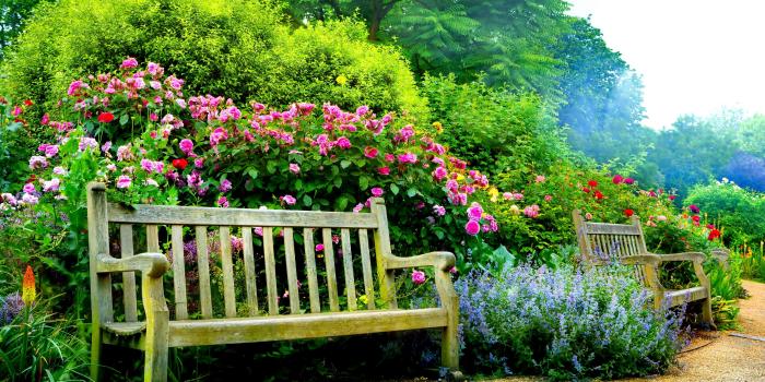 3999x2666 Benches in Spring Park 4k Ultra HD Wallpaper | Background Image