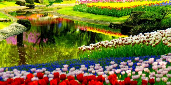 1920x1280 35 Beautiful Spring Pictures and Wallpapers
