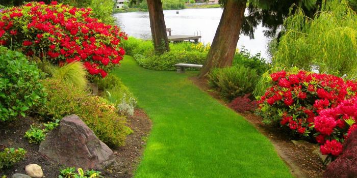 2048x1536 Beautiful Flower Park Wallpaper Hd Free For Desktop - Real Flower