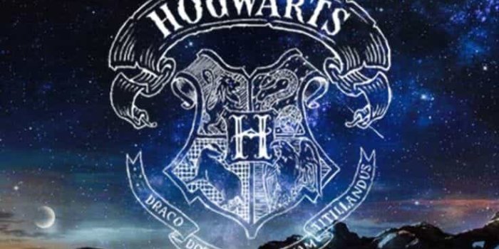 736x1228 Image about wallpaper in harry potter