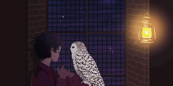 853x1089 Hedwig iPhone Wallpapers - Top Free Hedwig iPhone Backgrounds