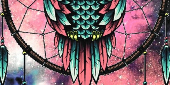 720x1280 I Heart ❤ It Cute Owl, Animal Wallpaper, Owl Wallpaper - Unique