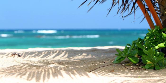 1920x1080 60+ Beach Scenery Wallpapers - Download at WallpaperBro