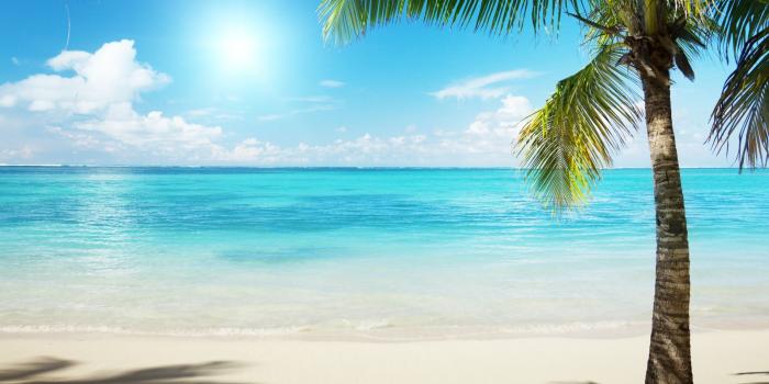 1920x1200 60+ Beach Scenes Wallpapers - Download at WallpaperBro