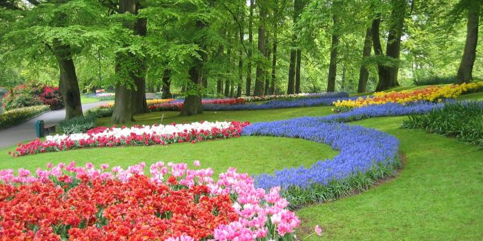 2272x1704 Garden Park Landscape 29 Wallpaper 2272x1704 323102 Background ~ fsbcard