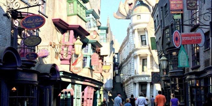 1000x1333 What I Wish I Had Known Before Visiting The Wizarding World of Harry