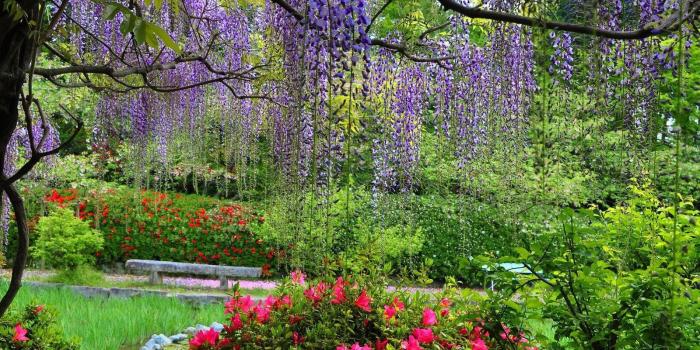 1600x900 Spring Nature Wallpapers (35 images) - Wallpaper Stream