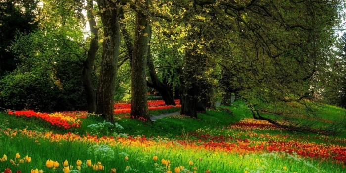 1680x1050 beautiful scenery wallpaper – www.smscs.com | Stuff to Buy in 2019