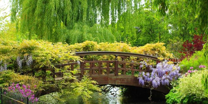 2048x1365 Hd park wallpaper Gallery