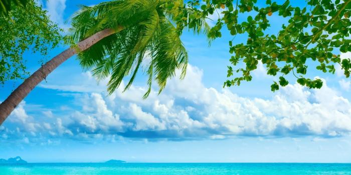 1920x1200 Tropical Beach Desktop Wallpapers (69+ background pictures)