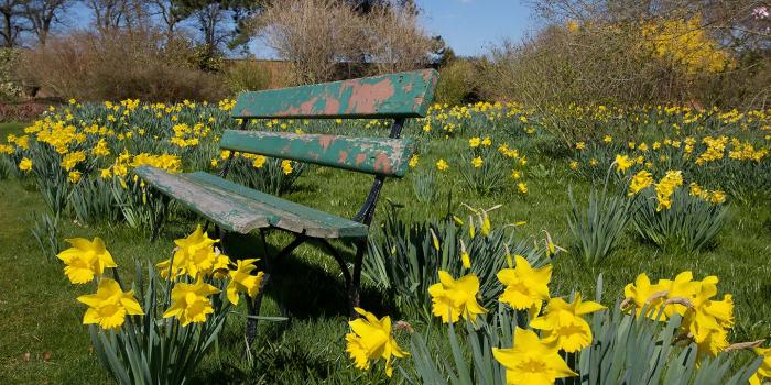 1440x900 Free download Zoo Park Nature Flowers Wallpapers Wallpapers of