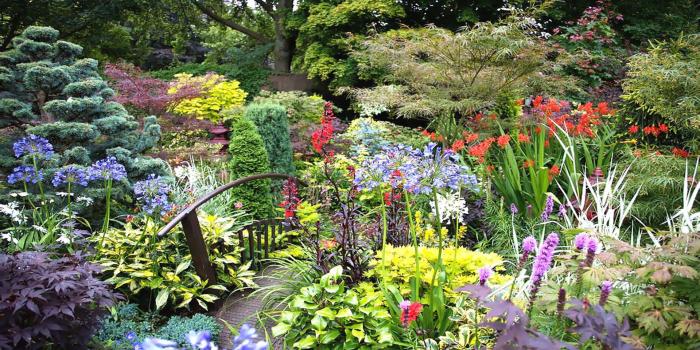 1920x1080 5279 summer flower garden wallpaper