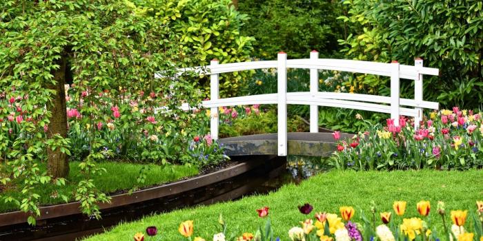 1440x960 Small Garden Pond with Bridge, Spring Flowers ❤ 4K HD Desktop