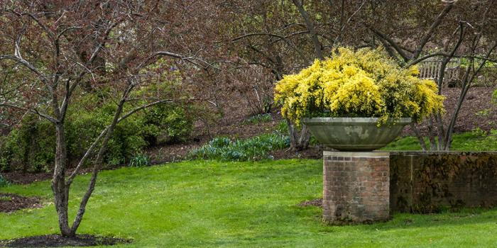 1280x853 Desktop Wallpapers Chicago city USA Botanic Garden Nature Spring