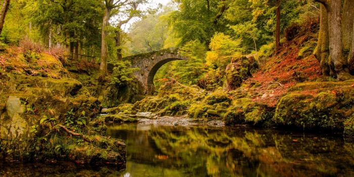 2880x1800 Autumn in Ireland Wallpapers - Top Free Autumn in Ireland