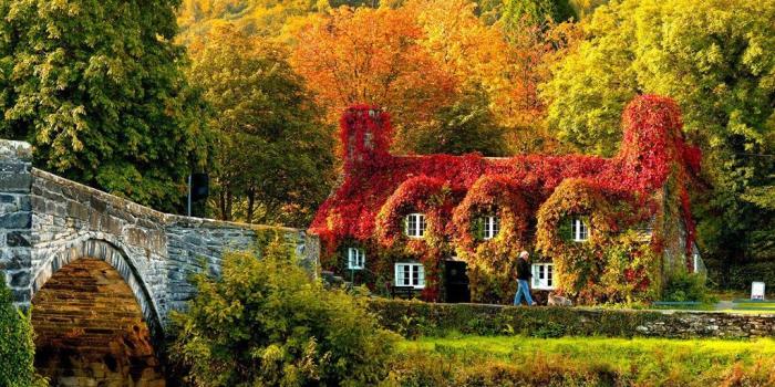 1024x768 Autumn in Ireland Wallpapers - Top Free Autumn in Ireland