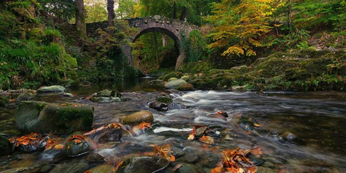 1280x806 Desktop Wallpapers Ireland Nature Autumn Bridges forest Moss river